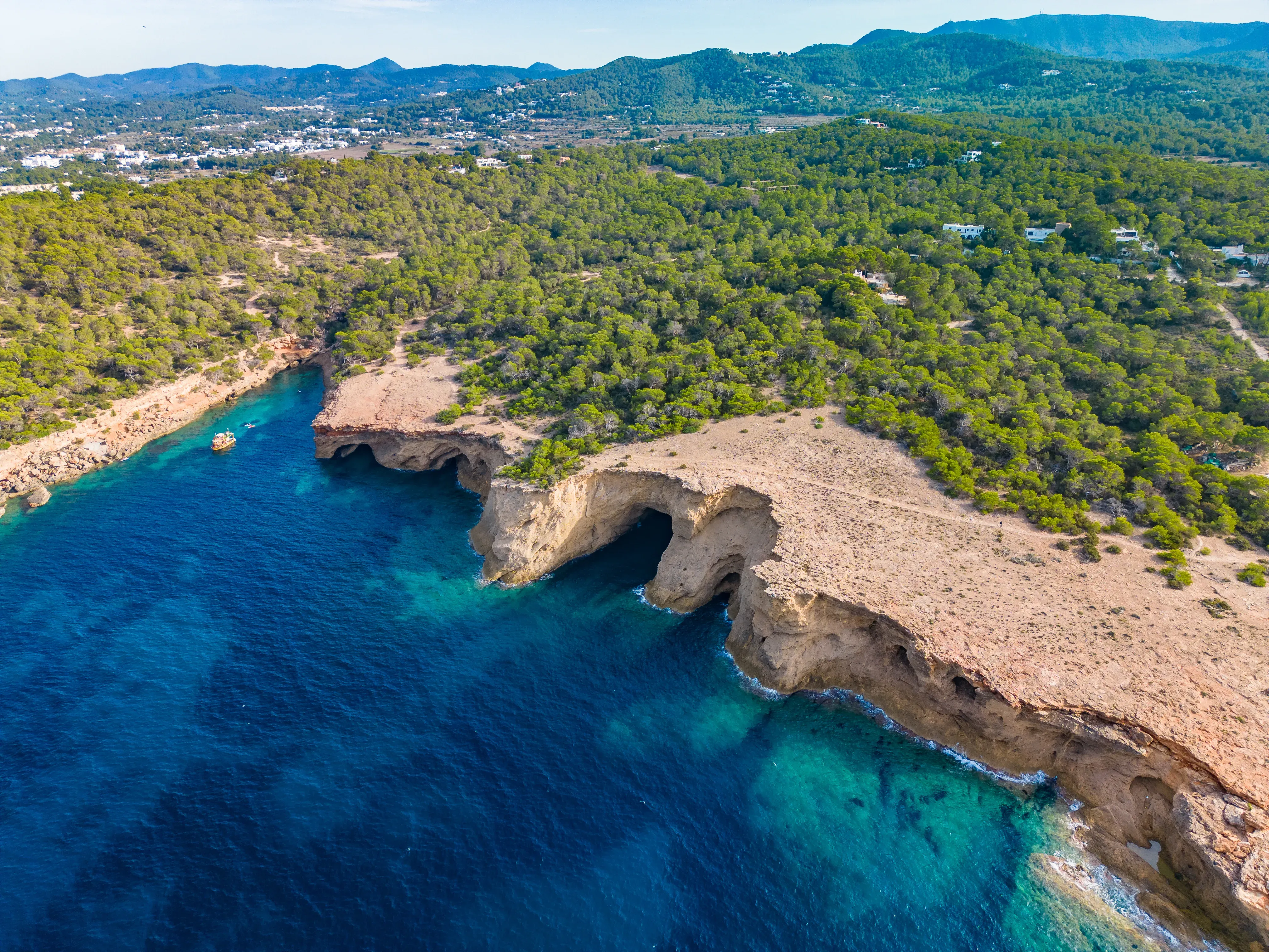 Natur auf Ibiza