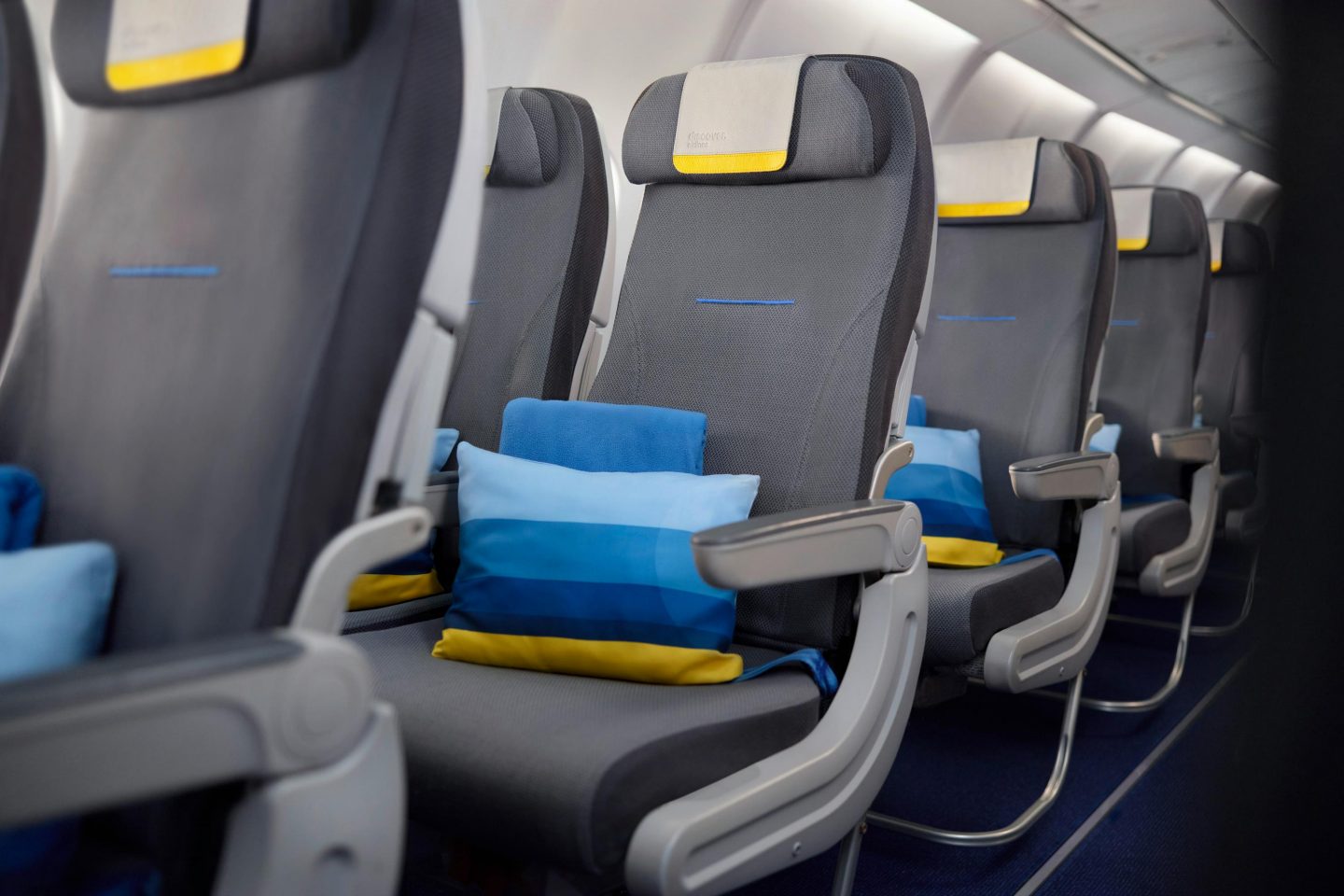 Economy Class seats in an A330