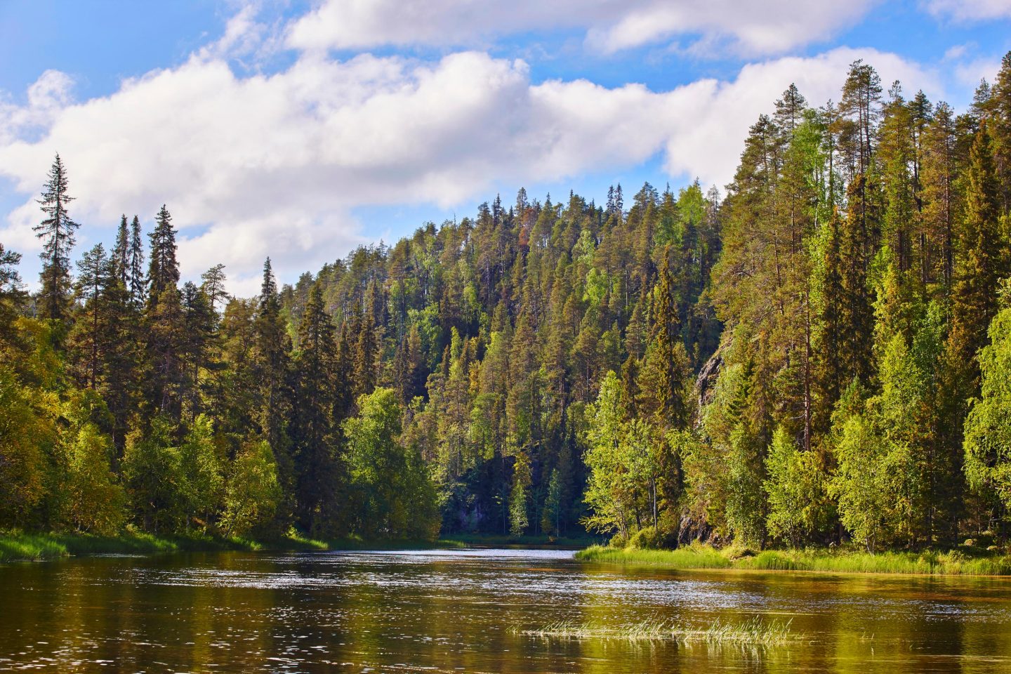 See und Wald in Finnland