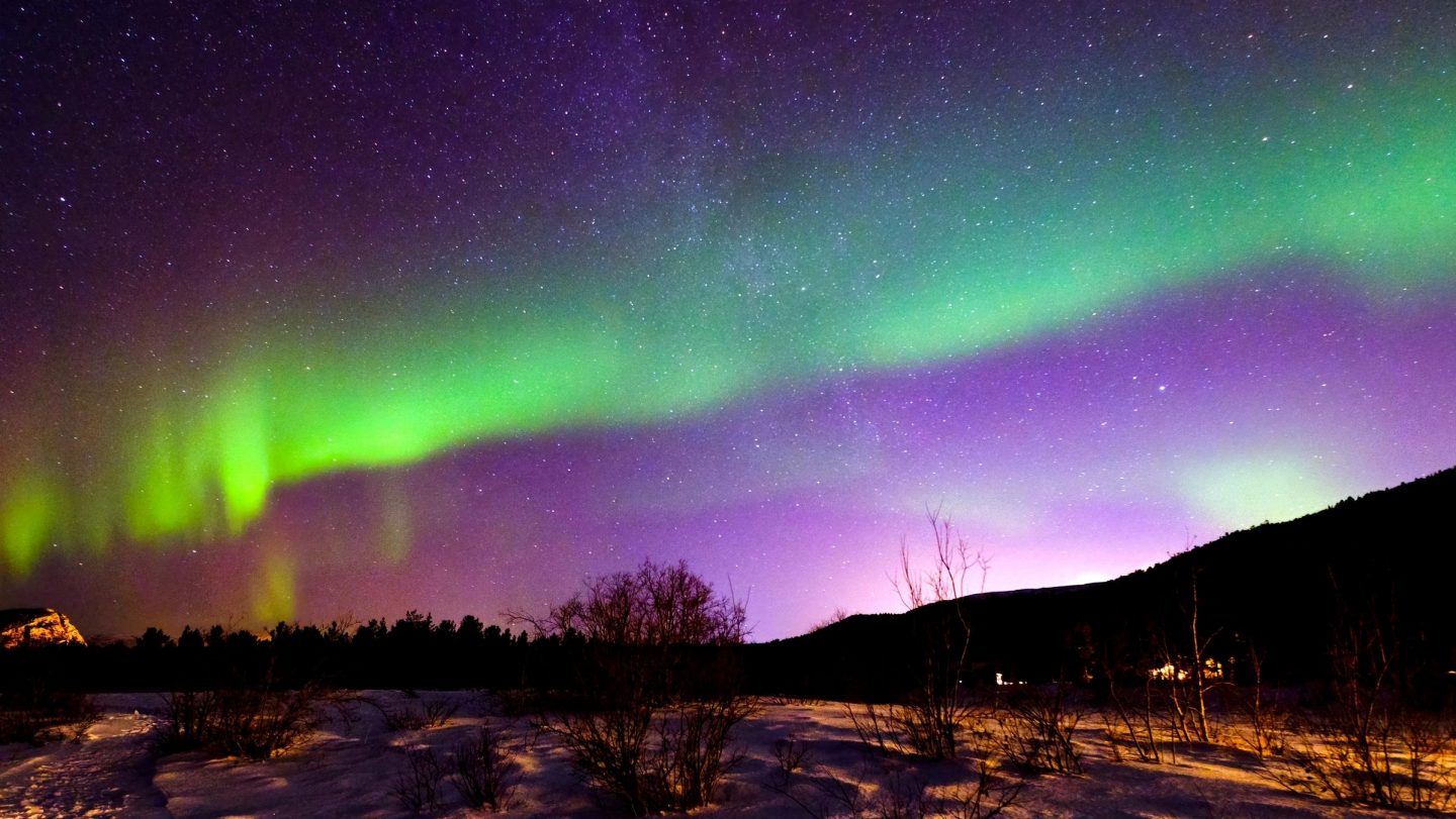 Grüne und lilafarbene Polarlichter am Nachthimmel von Alta