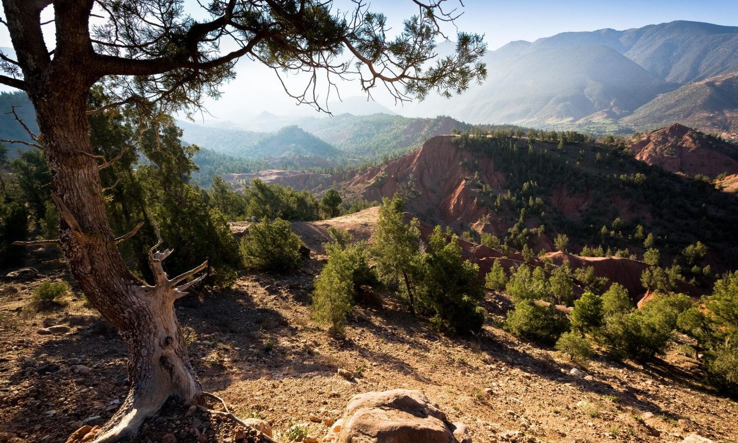 View of the Atlas Mountains