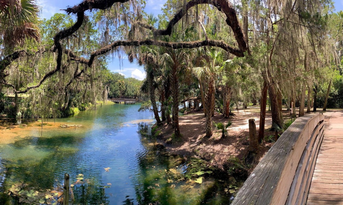 Brücke in Wekiwa Springs State Park in Orlando