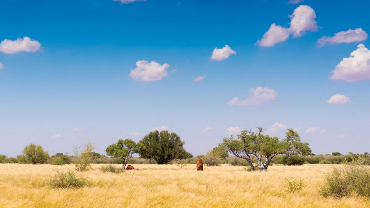 View of the Kalahari Desert near Windhoek