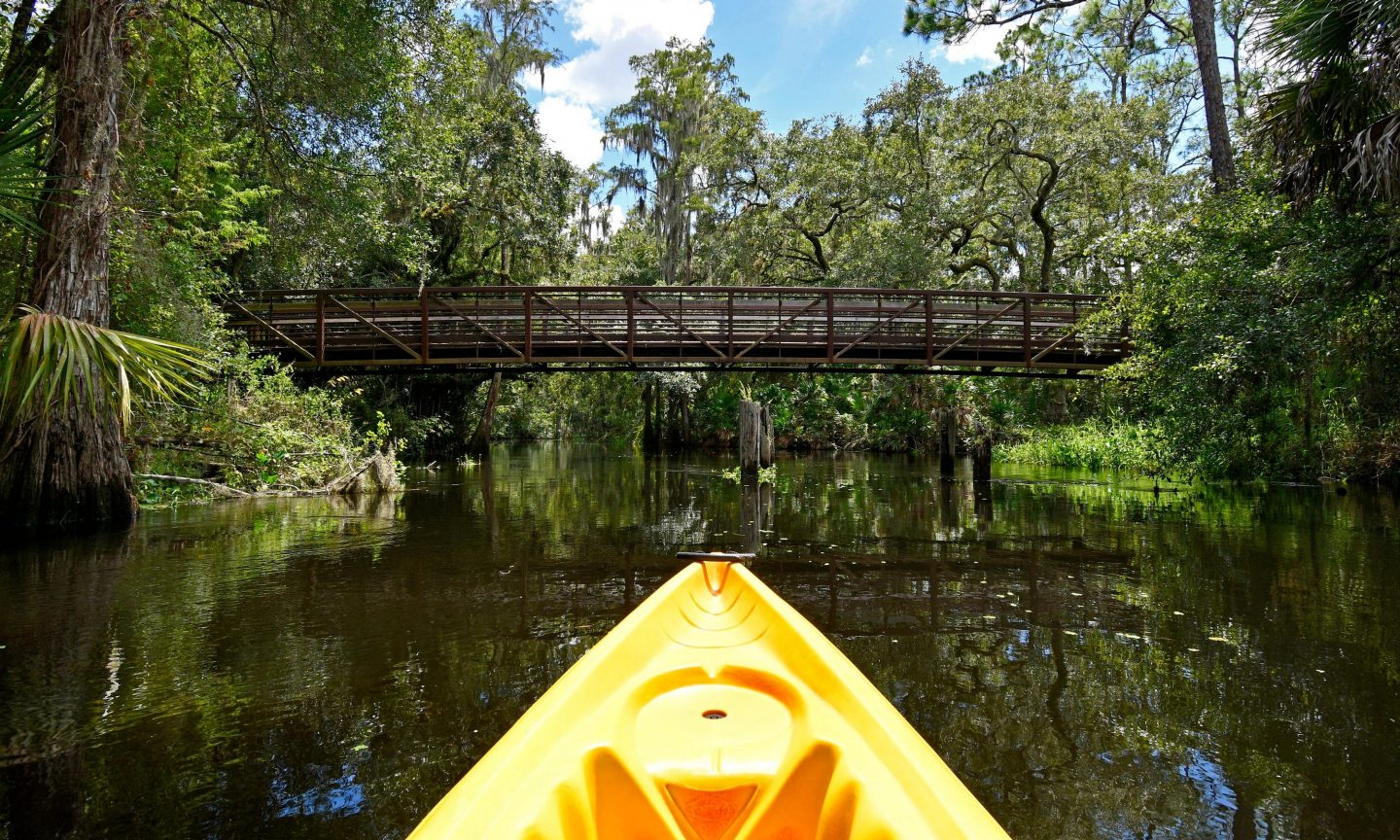 Kanu auf einem Fluss in Orlando