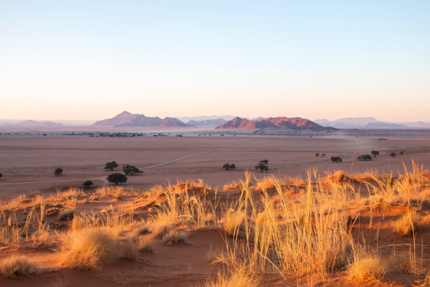Wüste in Namibia