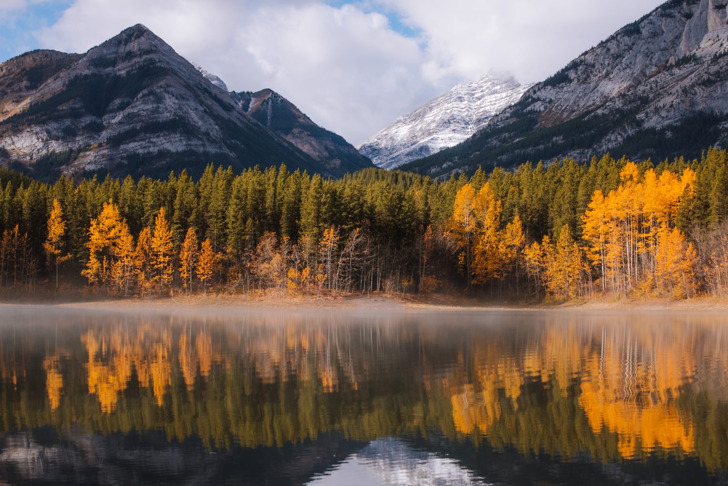 Golden autumn trees reflected in a lake