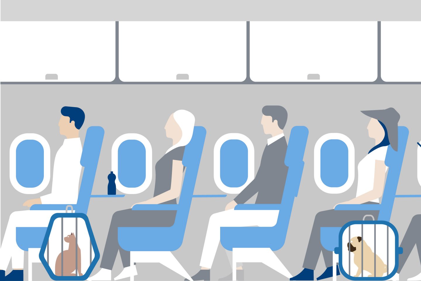 Illustration of passengers with pets in the cabin