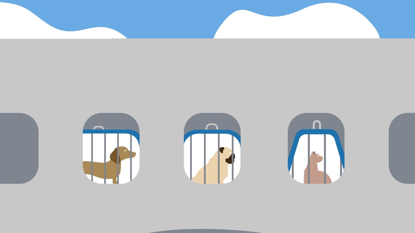 Illustration von Hunden und Katzen auf einem Flugzeug