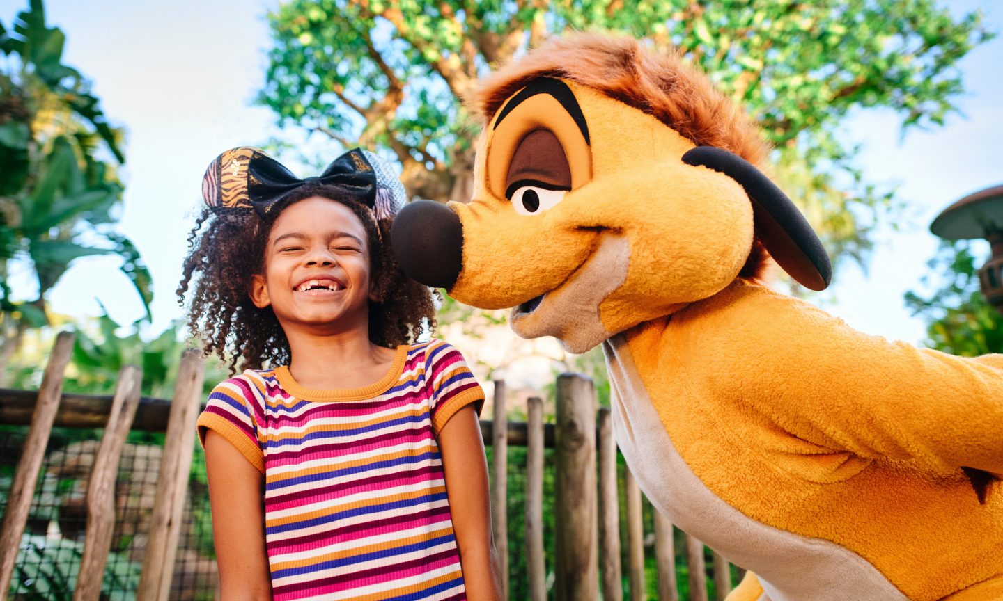 © 2025 Disney Walt Disney World Orlando
