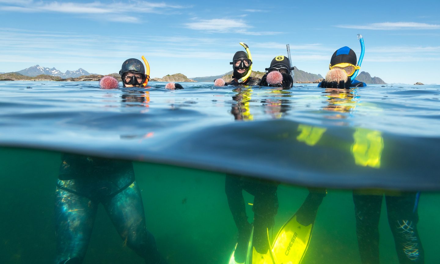 Vier Taucher im Wasser