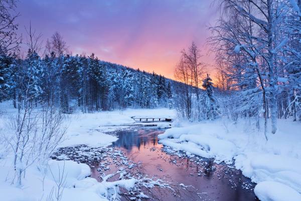 Schneelandschaft in Kittilä, Finnland