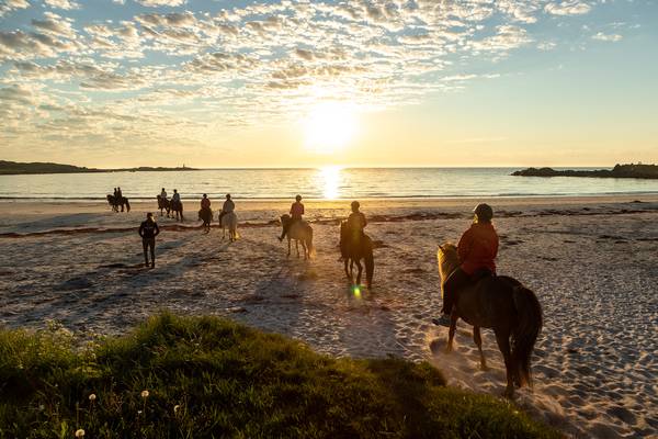 Personen reiten mit Pferden am Strand entlang bei Sonnenuntergang